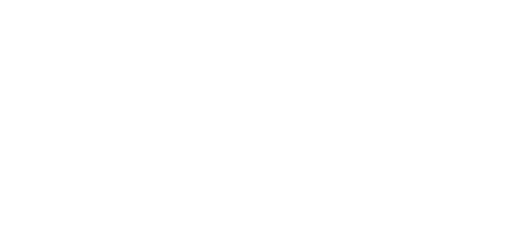 Logo principal Liferun