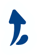 Retour au début de la page